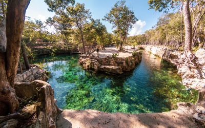 panorámica casa tortuga cenote